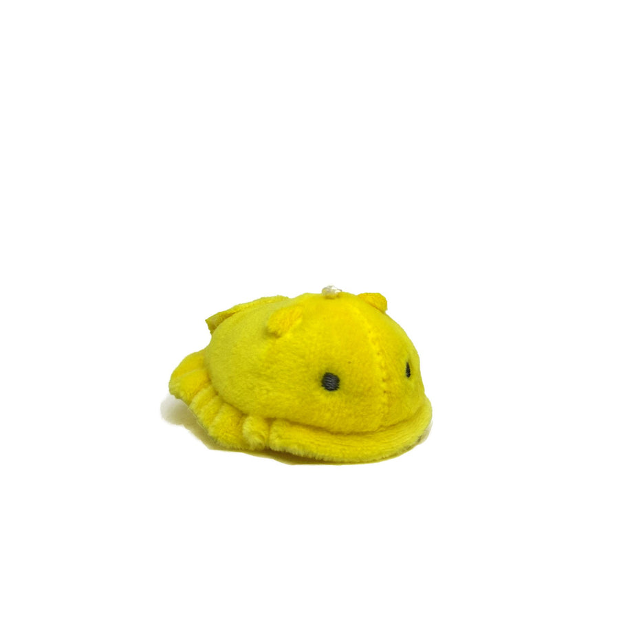 Sorbet Pals - Sea Slug Plushies - Mango
